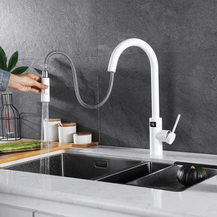 White Touch on Digital Kitchen - đánh giá và giá Commercial Kitchen Faucet